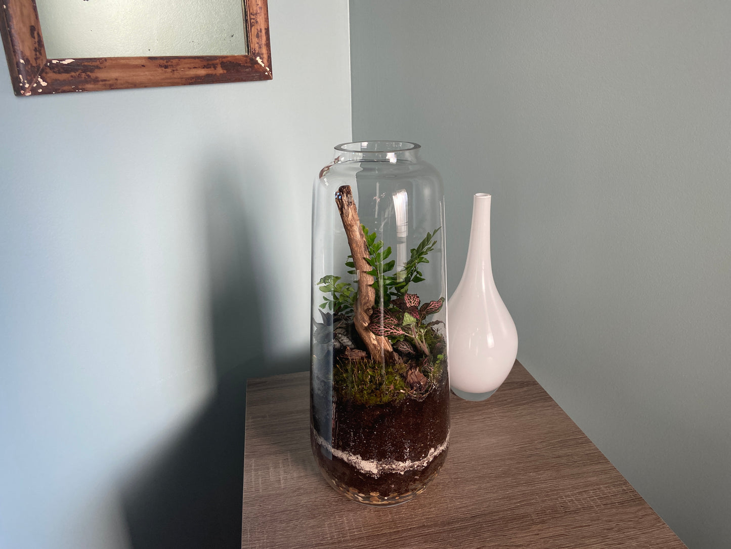 Tall Fern Terrarium