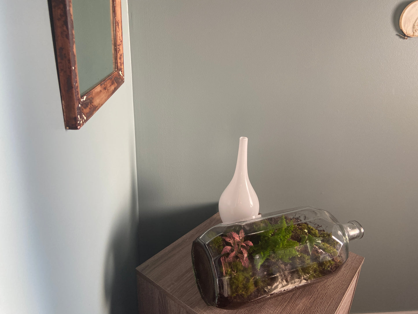 Plants in a Bottle
