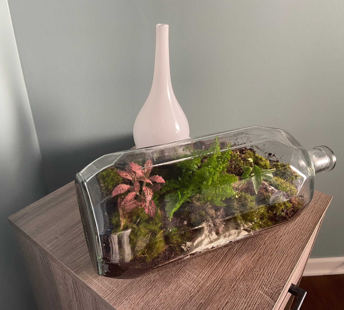 Plants in a Bottle
