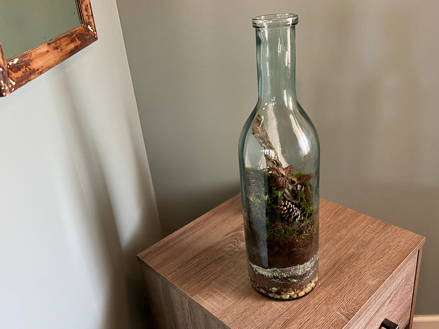 Forest in a Bottle Terrarium